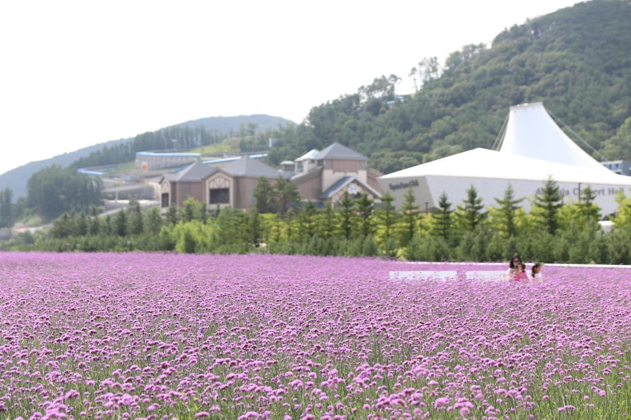 Intercontinental Alpensia Pyeongchang Resort By Ihg Exterior foto